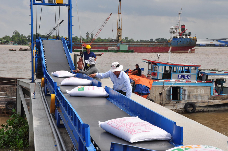 Năm 2020, Việt Nam dự kiến đủ khả năng xuất khẩu khoảng 6,5-6,7 triệu tấn Ảnh: Hòa Hội