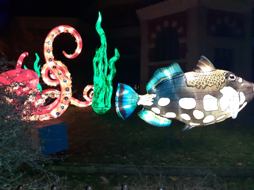 Thủy cung lấp lánh 