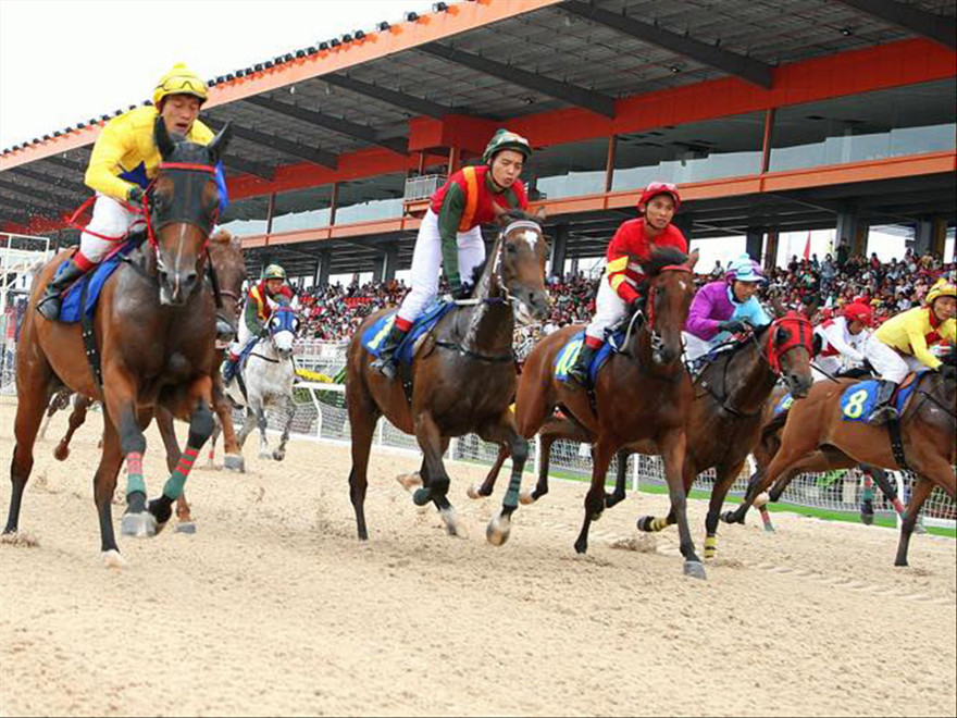 Ðua ngựa tại Trường đua Ðại Nam Ảnh: Truongduadainam.vn