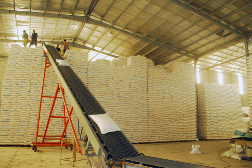 Với lượng lúa gạo tồn kho còn lớn, các DN, chính quyền địa phương ở ĐBSCL đang rất lo ngại về tình hình XK gạo hiện nay Ảnh: CK