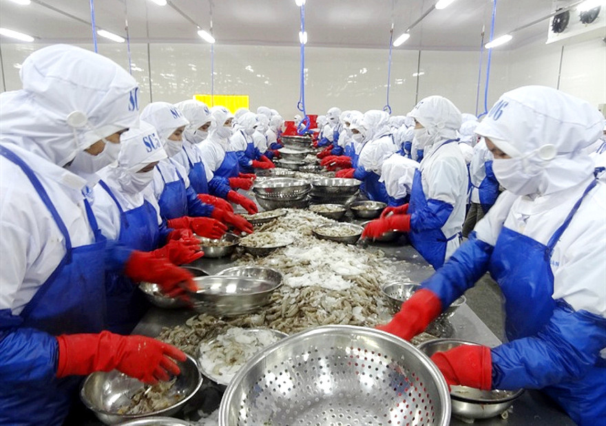 Xuất khẩu thủy sản đã bắt đầu hồi phục nhờ việc nhiều doanh nghiệp đã kịp đáp ứng các quy định mới Ảnh: M.Châu