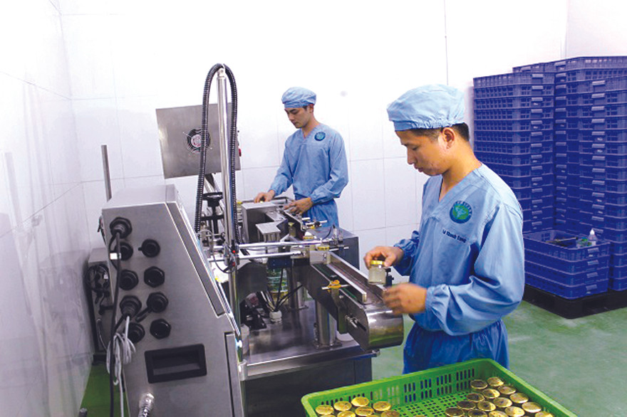 Một doanh nghiệp hoạt động tại vườn ươm DN Hà Nội 