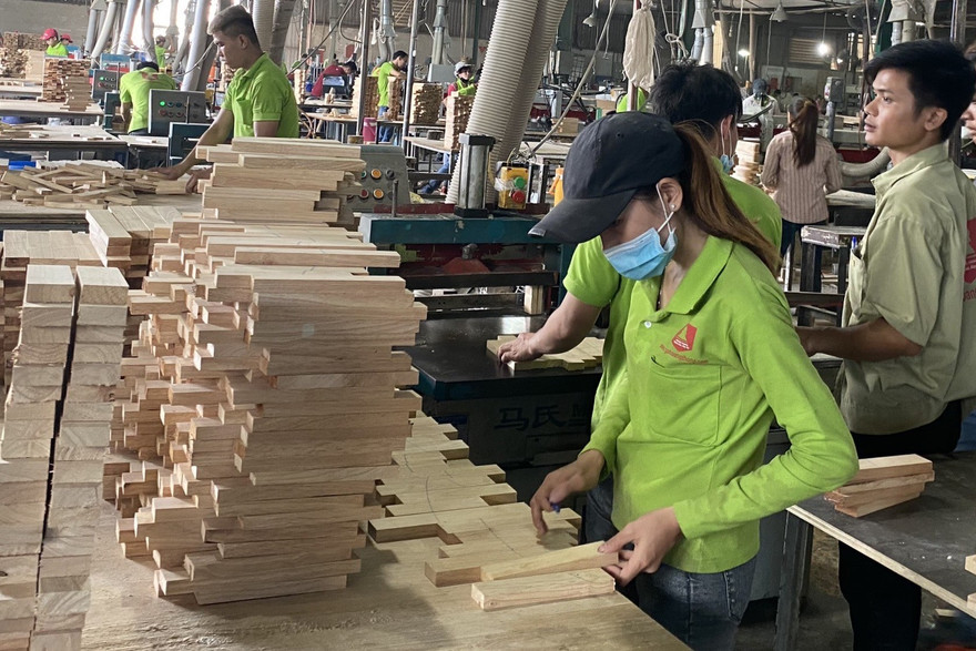 Nhiều DN ngành gỗ đang kêu cứu khi bị áp thuế vô lý từ mức 0% lên 25%. Ảnh: Bình Phương