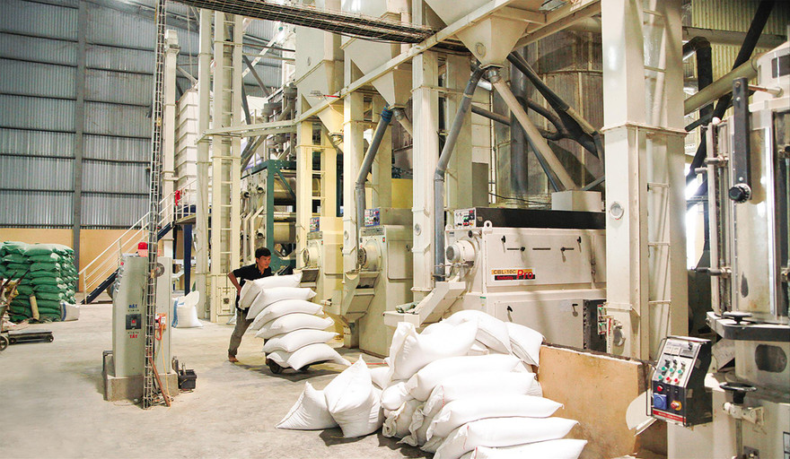 Nhu cầu gạo trong nước tăng cao Ảnh: Uyên Phương