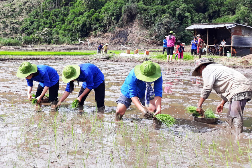 Luật Thanh niên 2020 có chính sách cho thanh niên tình nguyện Ảnh: PV 