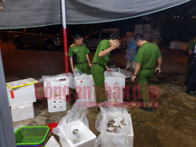 Cảnh sát môi trường kiểm tra số tôm chết bơm tạp chất. Ảnh: CAND