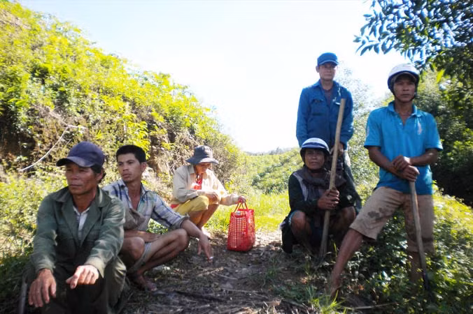 Khu vực đất rừng bắc sông Hiếu, nơi xảy ra tranh chấp giữa người dân địa phương với Công ty Lâm nghiệp Ðường 9. Ảnh: Phạm Xuân Dũng.