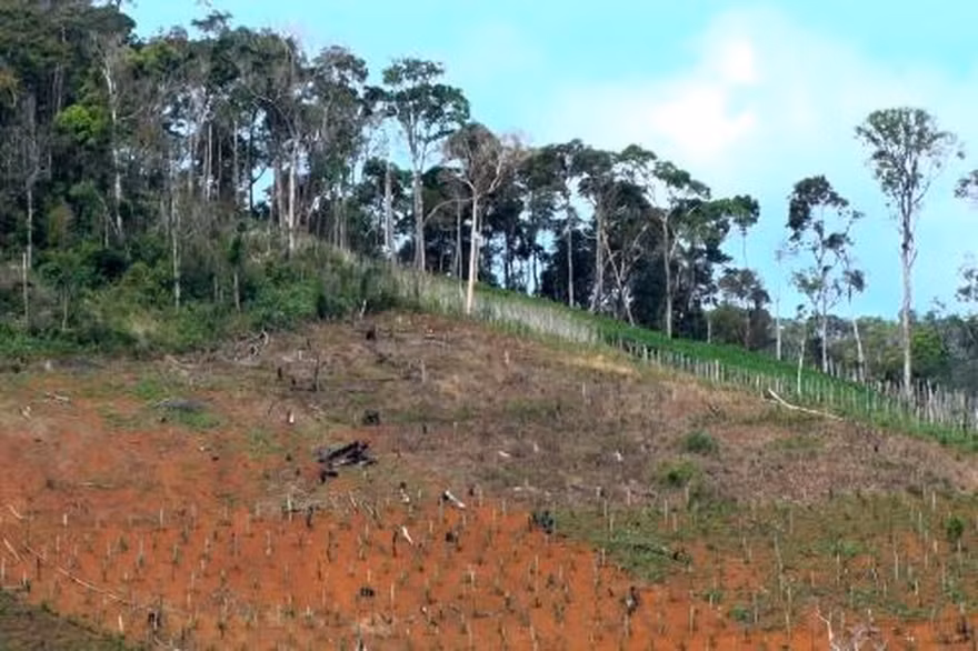 Ảnh minh họa: Internet