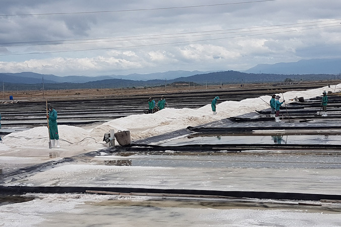 Cánh đồng muối Quán Thẻ.