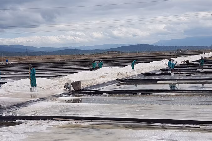 Cánh đồng muối Quán Thẻ.
