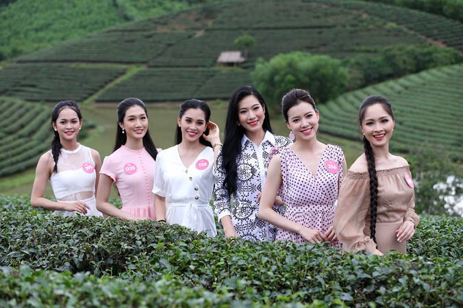 Vẻ tươi tắn của thí sinh Hoa hậu càng thêm nổi bật giữa khung cảnh đảo chè Thanh Chương. Ảnh: Mạnh Thắng.
