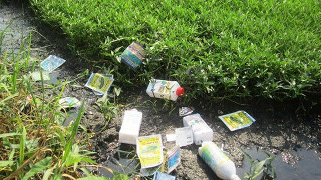 Ảnh minh họa: Internet