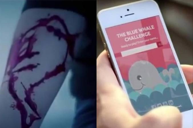 Trào lưu Cá voi xanh đang là nỗi lo của nhiều phụ huynh hiện nay.