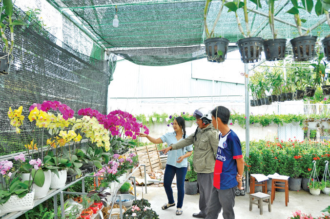 Khách đến mua hoa ở làng hoa Sa Đéc. Ảnh: Hòa Hội.