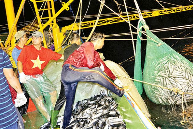 Tổng cục Thủy sản Việt Nam đã phát triển cơ sở dữ liệu quốc gia tích hợp dữ liệu liên quan tàu cá, bao gồm đăng ký, giấy phép, nhật trình, phần mềm đồng bộ được sử dụng ở 8 tỉnh duyên hải. Ảnh: J.B.