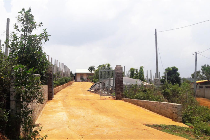 Trang trại của ông Nguyễn Đức.