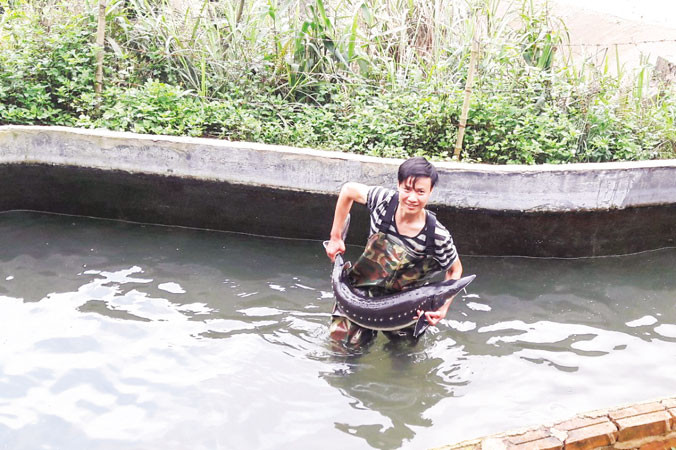 Ðào Văn Vũ với con cá tầm nặng hơn 20kg.