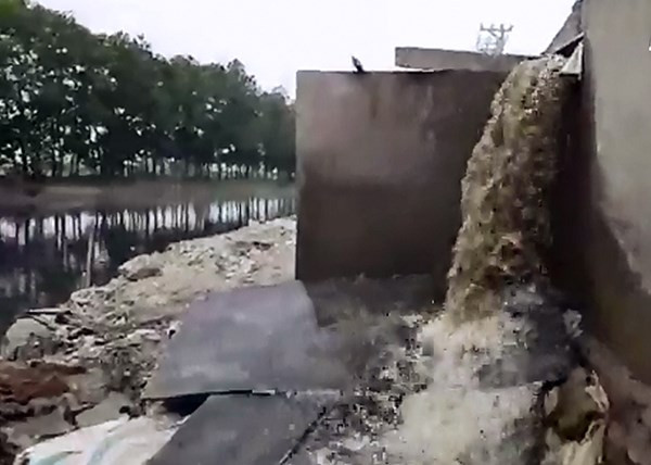 Ảnh minh họa: Internet