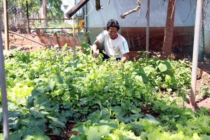 Anh Dương chua xót nói không dám đi chợ mà gia đình chăm sóc luống rau, nuôi thêm gà vịt để cải thiện cuộc sống. Ảnh: Lữ Hồ.