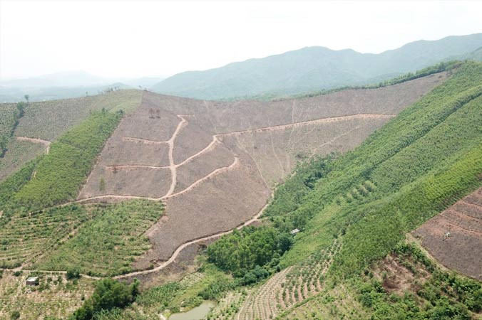  Hàng trăm héc ta rừng phòng hộ ở xã An Sinh, TX. Ðông Triều, Quảng Ninh bị tàn phá.