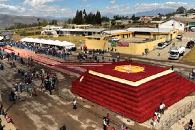 Toà tháp xây bằng nửa triệu bông hồng.