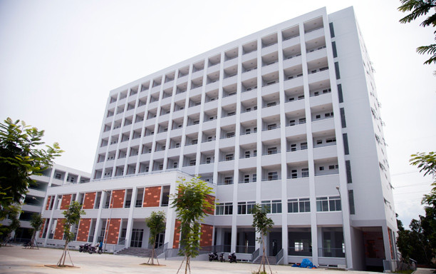 Ảnh minh họa: Internet