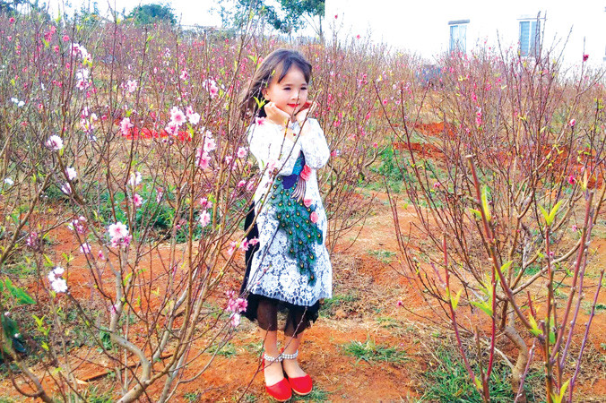 Em bé tạo dáng chụp hình bên những khóm đào.