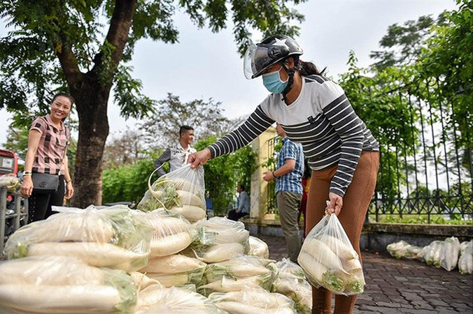 Giải cứu củ cải. Ảnh: IT.