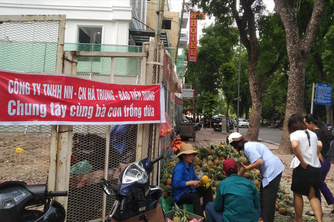 Điểm bán lẻ dứa của nông dân cạnh trụ sở báo Tiền Phong. Ảnh: Sỹ Lực.