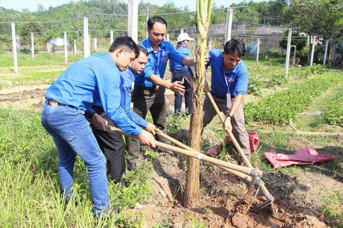 Ngoài đáp ứng yêu cầu về học lực, mỗi sinh viên đạt danh hiệu “Sinh viên 5 tốt” còn là những nhân tố nổi bật trong các hoạt động tình nguyện, nghiên cứu khoa học, hội nhập quốc tế. Ảnh: Giang Thanh.