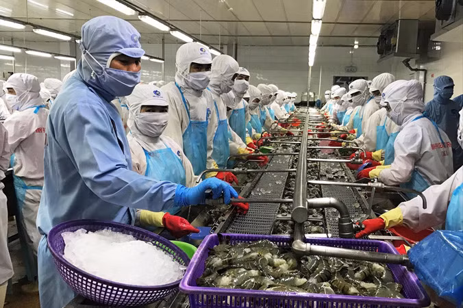 GDP phải đến từ sản xuất hàng hóa của cải cho xã hội chứ không phải những hoạt động đầu cơ bong bóng.