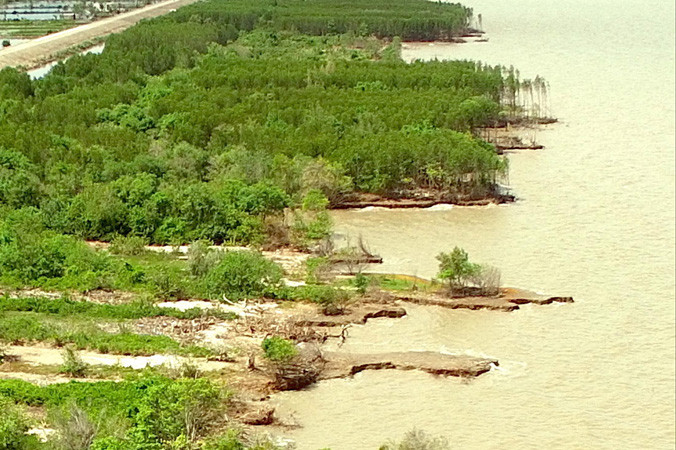 Hiện trạng sạt lở ven biển Cà Mau.