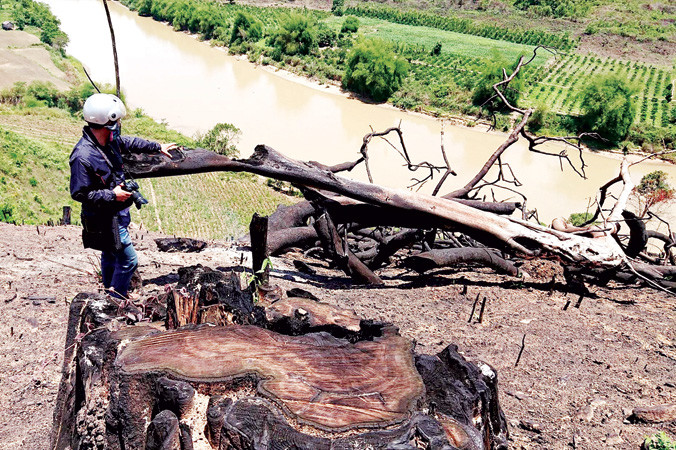 Một vụ hủy hoại rừng tại tiểu khu 1023 nhưng BQL Nam Kar không biết.