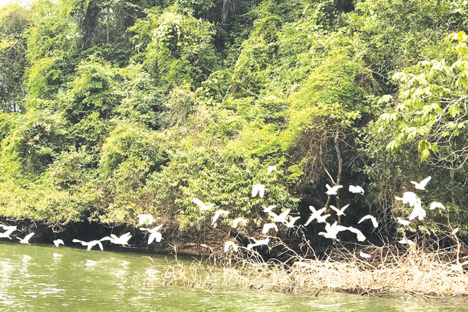 Cảnh đẹp sững sờ trên đường vào thôn Pác Ngòi. Ảnh: L.A.