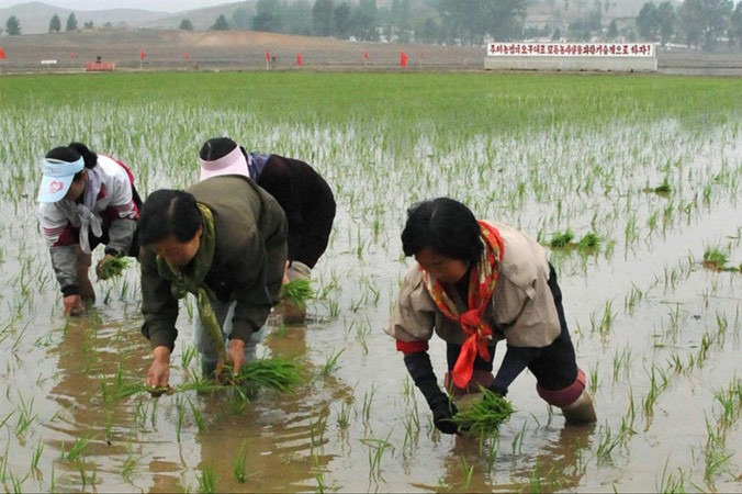 Mặc dù còn khó khăn nhưng kinh tế Triều Tiên được nói là ngày càng ổn định. Ảnh: NPR.