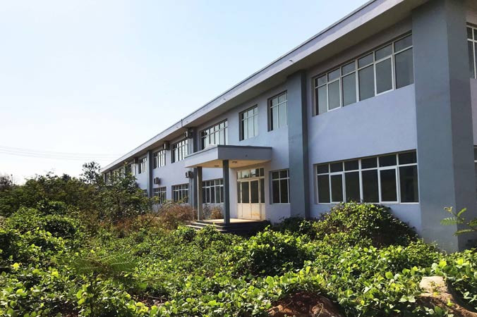 Cỏ um tùm quanh các tòa nhà bệnh viện mới xây.