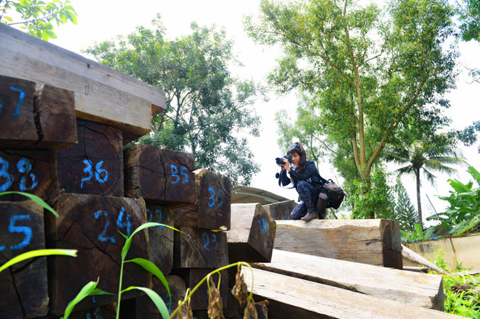 Nữ PV Tiền Phong trên bãi gỗ tang chứng tại một Hạt kiểm lâm.