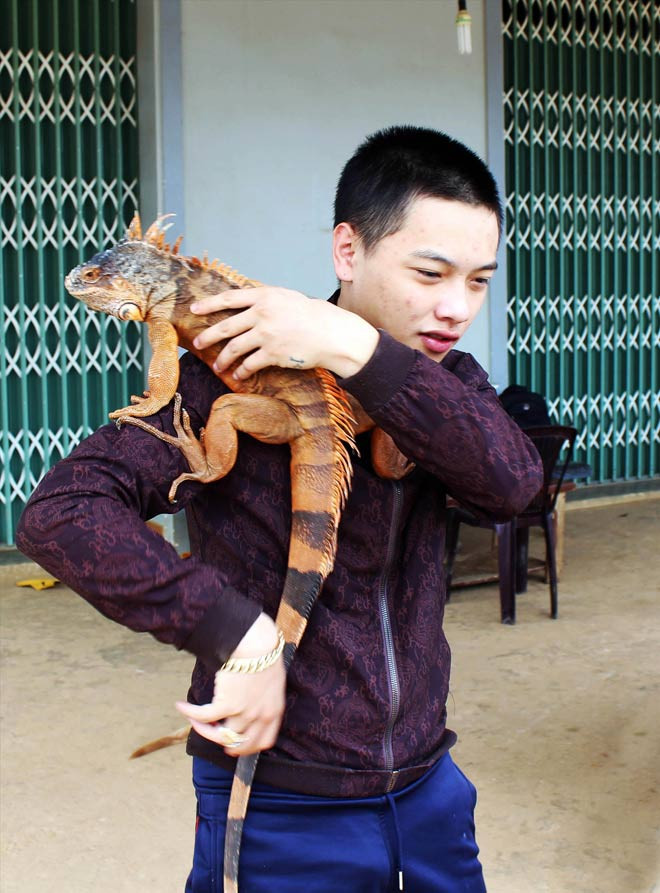 Nguyễn Ðăng Khoa bên con rồng Nam Mỹ khá thân thiện. Ảnh: K.A.