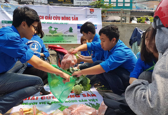 "Giải cứu" su hào, củ cải cho nông dân Mê Linh (Hà Nội). Ảnh: Hồng Vĩnh.