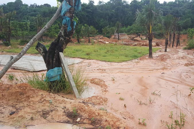 Khu đất hơn 2.000m2 thuộc rừng phòng hộ trên đảo bị san ủi, trồng cây lâu năm. Hiện thủ phạm đã bỏ trốn.