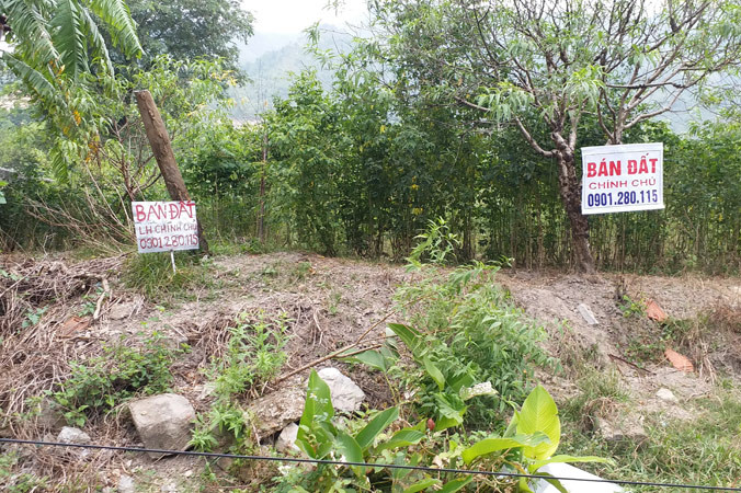 Trong thời gian sốt đất Vân Đồn, việc phân lô, tách thửa, chuyển đổi mục đích sử dụng đất được thực hiện liên tục.