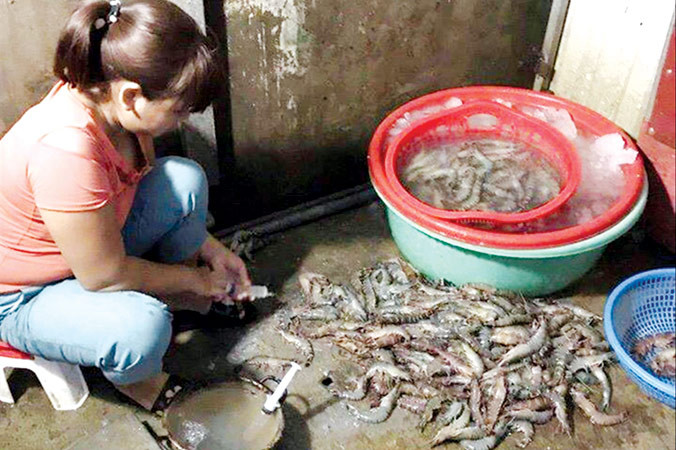 Cơ sở bơm tạp chất vào tôm tại chợ đầu mối phía Nam (quận Hoàng Mai).