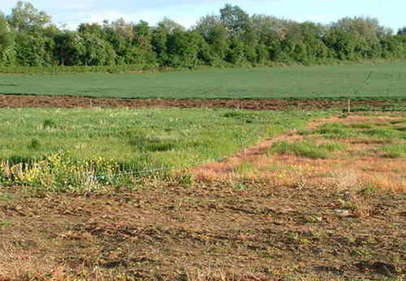 Ảnh minh họa: Internet