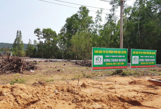 Sốt đất chưa từng có ở Phú Quốc