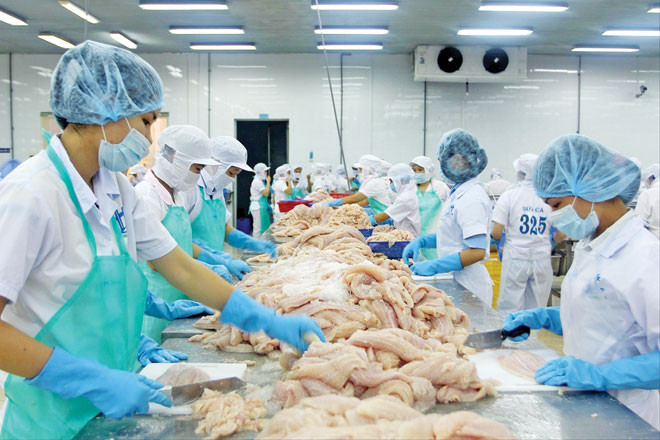 Già hóa dân số nhanh, nhân lực chất lượng chưa cao là những vấn đề với phát triển kinh tế của Việt Nam. Ảnh: Châu Anh.