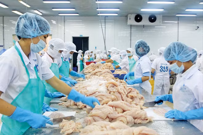 Già hóa dân số nhanh, nhân lực chất lượng chưa cao là những vấn đề với phát triển kinh tế của Việt Nam. Ảnh: Châu Anh.