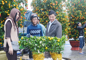 Người dân và du khách đến với Hội quất Cẩm Hà (Hội An). Ảnh: Trần Loan.