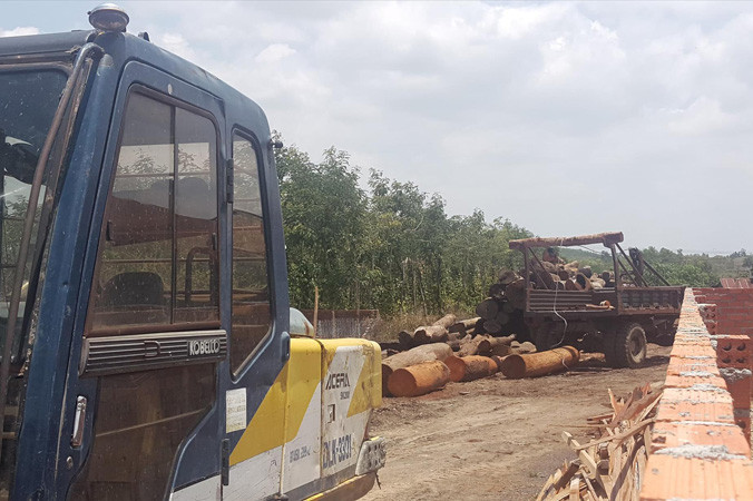 Xưởng gỗ của Phượng "râu" có nhiều gỗ quý.