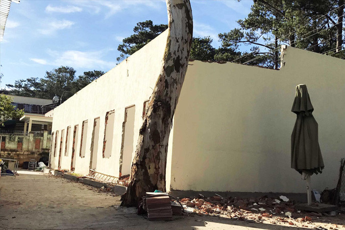 Nhà cấp 4 trong khuôn viên biệt thự cổ.