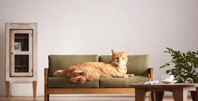 Sofa giường dành cho mèo.
